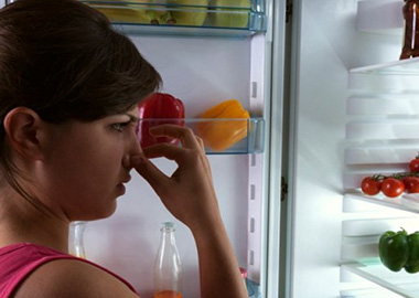 Надо заглядывать чаще в укромные места холодильника, и тогда не придется бороться с плесенью